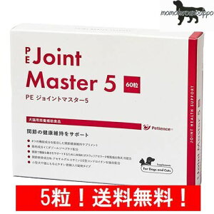 PE �W���C���g�}�X�^�[5 ������ ���p �̏d1kg�`7.5kg 1��0.5���i10���� 5���j�yQIX�z���������i�|�X�g�����ցj