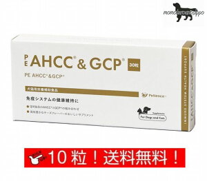 yQIXzPE AHCC&GCP  Lp ̏d1kg`4kg 11 10(10×1V[g) i|Xgցj