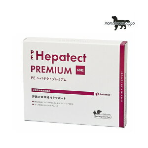 PE wpeNgv~A 60 Lp QIX  |Xg