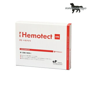 weNg60×4 yQIXzyeBGX  i|Xgցj