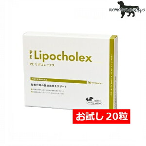 PE |RbNX  Lp 10×2V[gyQIXzi|Xgցj