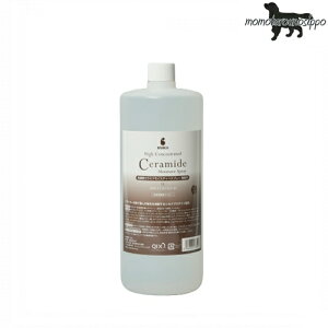 ZxZ~hCX`[Xv[ Ɩp1L LpyQIXzp\wXPA