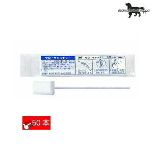 �Ð�m�s �E���E�L���b�`���[ 50�{�@(�̔A��) ���������i�|�X�g�����ցj