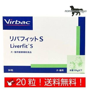 robN otBbgS  20 i|Xgցj