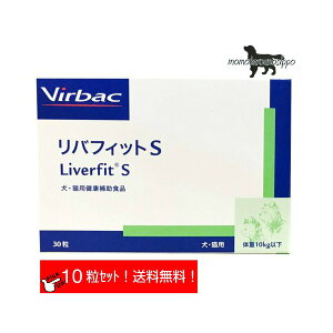 yzrobN otBbgS Lp 10 i|Xgցj