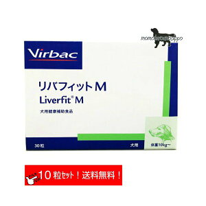 robN otBbgM  p ̏d10kg`25kg 1110(10ji|Xgցj