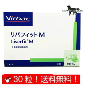 robN otBbgM 30 i|Xgցj