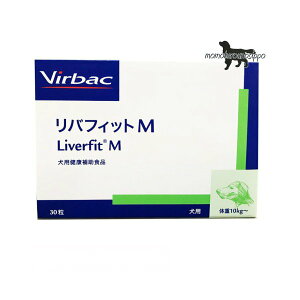 robN otBbgM 30 (Lpjll6܂ŁIi|Xgցj