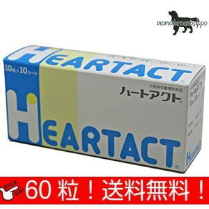 {SH n[gANg p 10×6V[g (60) i|Xgցj