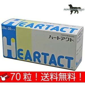 {SH n[gANg p 10×7V[g (70) i|Xgցj