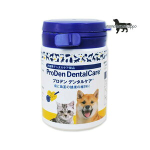 vff^PA 40g Lp {SH ll6܂ŁI