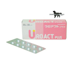 EANg vX Lp 100(10×10V[g) {SH i|Xgցj