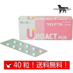EANg vX Lp 10×4V[g(40j p {SH i|Xgցj
