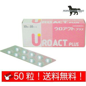 EANg vX Lp 10×5V[g(50j p {SH i|Xgցj