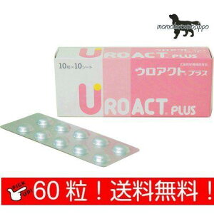 EANg vX Lp 10×6V[g(60j p {SH i|Xgցj