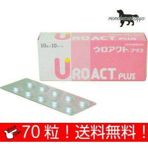 EANg vX Lp 10×7V[g(70j p {SH i|Xgցj