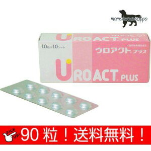 EANg vX Lp 10×9V[g(90j p {SH i|Xgցj