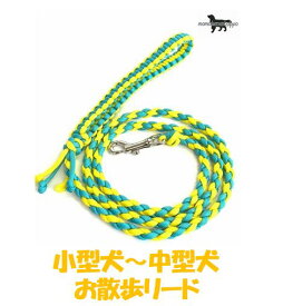 PARACORD LEAD パラシュートコード お散歩リード カラー：D レモン・オーキッド 小型犬～中型犬リード 送料無料（ポスト投函便）