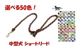 PARACORD LEAD パラシュートコード 中型犬ショートリード 選べる50色！中型犬リード 送料無料（ポスト投函便）