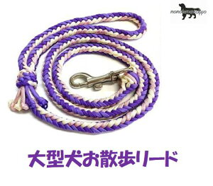PARACORD LEAD pV[gR[h U[h J[FI ppCETNEfBvp[vEp[v ^[h8{҂ i|Xgցj