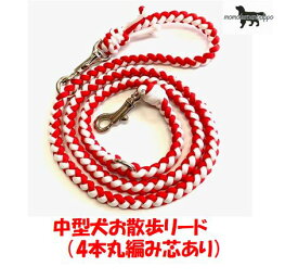 PARACORD LEAD パラシュートコード お散歩リード カラー：D クリームホワイト・レッド 中型犬リード 送料無料（ポスト投函便）