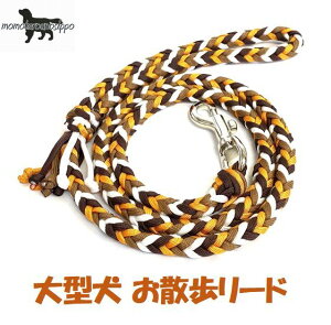 PARACORD LEAD pV[gR[h U[h J[FA }[S[hE `REzCgE}bguE ^[h 8{҂ i|Xgցj