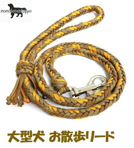 PARACORD LEAD pV[gR[h U[h J[FD }[S[hE R[eE}bguE ^[h 8{҂ i|Xgցj
