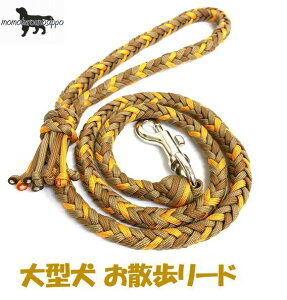 PARACORD LEAD pV[gR[h U[h J[FE }[S[hE R[eE}bguE ^[h 8{҂ i|Xgցj