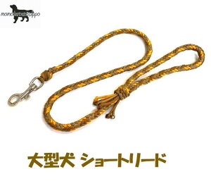PARACORD LEAD pV[gR[h ^V[g[hiJ[FB }[S[hE}bguEER[ej^[h i|Xgցj