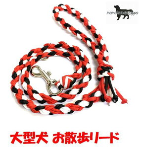 PARACORD LEAD pV[gR[h U[hj J[FC bhEubNEN[zCg ^[h 8{ە҂ i|Xgցj