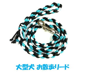 PARACORD LEAD pV[gR[h U[hj J[FD I[LbhEubNEN[zCg ^[h 8{ە҂ i|Xgցj
