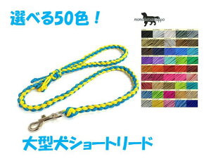 PARACORD LEAD pV[gR[h Iׂ50FIV[g[h ^[h i|Xgցj