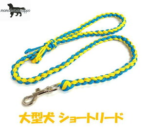 PARACORD LEAD pV[gR[h V[g[hiJ[FB ^[RCYECG[j^[h i|Xgցj