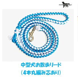 PARACORD LEAD パラシュートコード お散歩リード カラー：C アイスホワイト・ターコイズブルー 中型犬リード 送料無料（ポスト投函便）