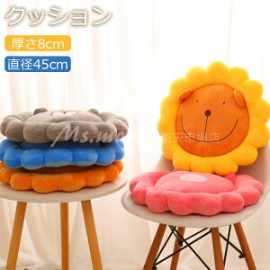 NbV tANbV  8cm zc a45cm 傫 NbV k    킢  ăNbV c NbV  a rO[ Q   