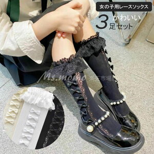 [X C N[\bNX 3Zbg ̎qp xr[ELbYEWjA tH[} t ۈ牀 ct w  킢 q K[ Mtg v[g j w 