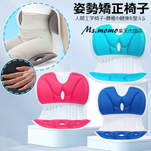 y6%OFFN[|zp ֎q pT|[g`FA Lwh ՃT|[g`FA ɉP [ pǂȂ p NbV  y ^ѕ֗ Kɂ₳