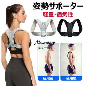 y6%OFFN[|zLwxg LwPA pT|[^[ bxg wؕ␳ T|[g Ci[ Lwxg  pT|[^[ pxg NObY jp p xg \ 