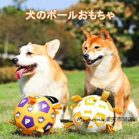 犬のおもちゃ 犬 ボール いぬ ペット おもちゃ 玩具 ペット用品 グッズ 用品 犬用 バスケットボール 投げ ひとり遊び オモチャ 留守番 運動不足 不安解消 ストレス発散 安全 送料無料