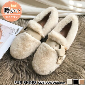 t@[pvX fB[XV[Y ₷ N JV GRt@[pvX ؂ Xb| {  g [q[C ~ ɂȂ [g [t@[ h 