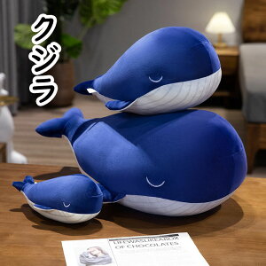 yzNW ʂ RR    ViKXNW _炩  q ޏ 킢  傫TCY  YQ   