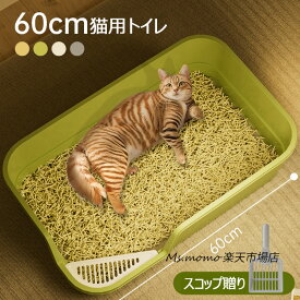 猫トイレ 本体 ネコトイレ 猫用トイレ キャットトイレ 大型 猫トイレ 飛び散らない コンパクト TALL WALL BOX ネコ ねこ カバー 洗える 散らかりにくい オープン ハーフカバー ペットケア 掃除 大容量 スコップ付き 猫用トイレ 大きめ 抗菌防臭 送料無料
