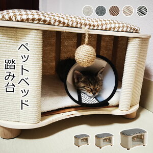 yzybgxbh ݑ XebvXc[ u ru Xc[ x` L ybgpi Q I[V[Y 薰  piELpi tďH~ ʔN  