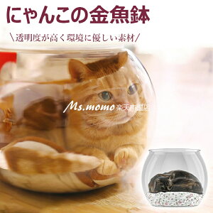 y6%OFFN[|zzIzɂ񂱂̋ L  ybgnEX LnEX p L  qLp ANLیJo[ ̂ŔLώ@ł܂ h~ Փ˖h