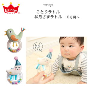 Taftoys ^tgC ܃g Ƃ胉g taftoys g KK ł t@[XggC  V  q qǂ ǂ LbY xr[ Ԃ j̎q ̎q  ܂ 0 1