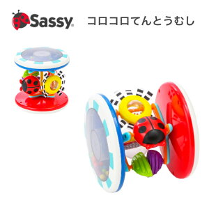 Sassy TbV[ RRĂƂނ RR 낱 ĂƂނ egEV t@bVl[VE[EAEh ] ] m ߋ j̎q ̎q