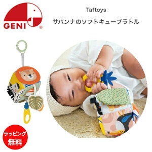 Toĩ\tgL[ug Taftoys ^tgC taftoys GhC^[ o  xr[J[ xr[ o V  q qǂ ǂ LbY xr[ Ԃ j̎q 