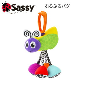 TbV[ sassy uuoO ԂԂoO Wb^[oO TYSA80167