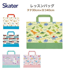 bXobO G{ 40cm×30cm 񂰃obO mÃobO w XP[^[ fBmTEXsN`[ubN ͂炭N} S[S[gC ujR[j̎q ̎q