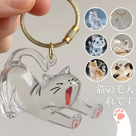 猫の毛収納ボトル キーホルダー 猫毛 透明カプセル キーホルダー ペット用 遺毛ケース 透明ケース 遺毛入れ 猫の毛収納